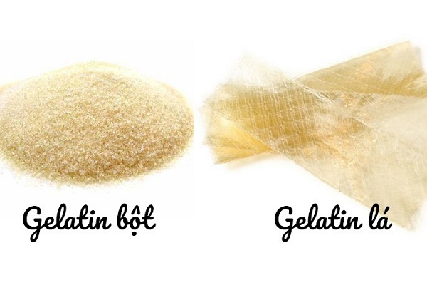 gelatin bột và gelatin lá